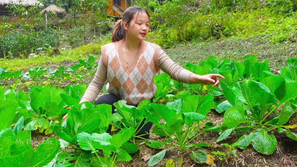 Hien has a large, lush vegetable garden and a day of work in the garden. My Daily Life Ep. 136 Hien has a large, lush vegetable garden and a day of work in the garden. My Daily Life Ep. 136