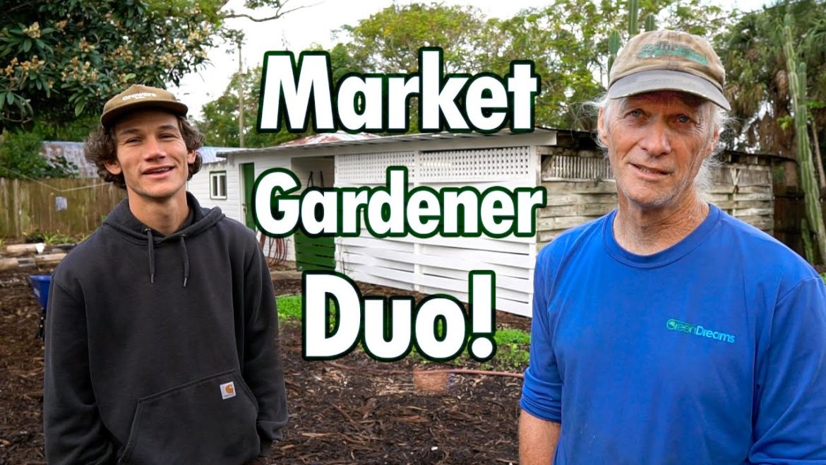 Jim & Tanner Team-Up on the Farm! Vermicomposting, Chickens, Expansions + Sweet Potato FAIL Jim & Tanner Team-Up on the Farm! Vermicomposting, Chickens, Expansions + Sweet Potato FAIL