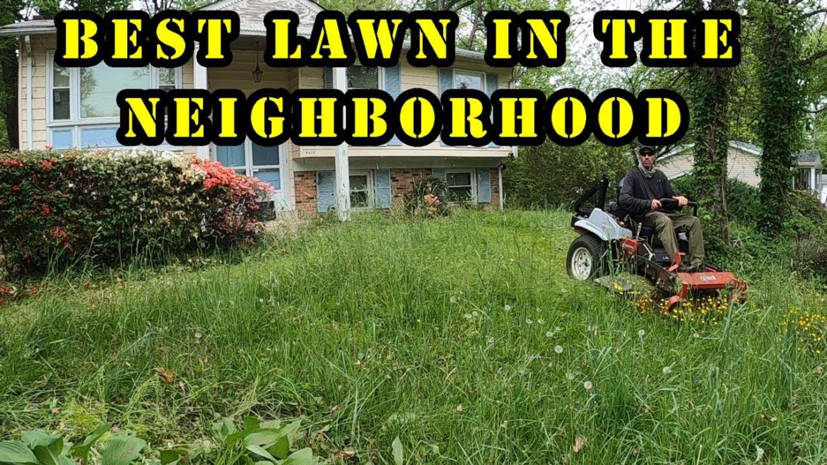 The best lawn in the neighborhood The best lawn in the neighborhood