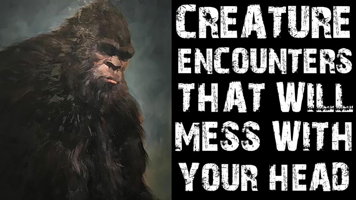 CREATURE ENCOUNTERS THAT WILL MESS WITH YOUR HEAD