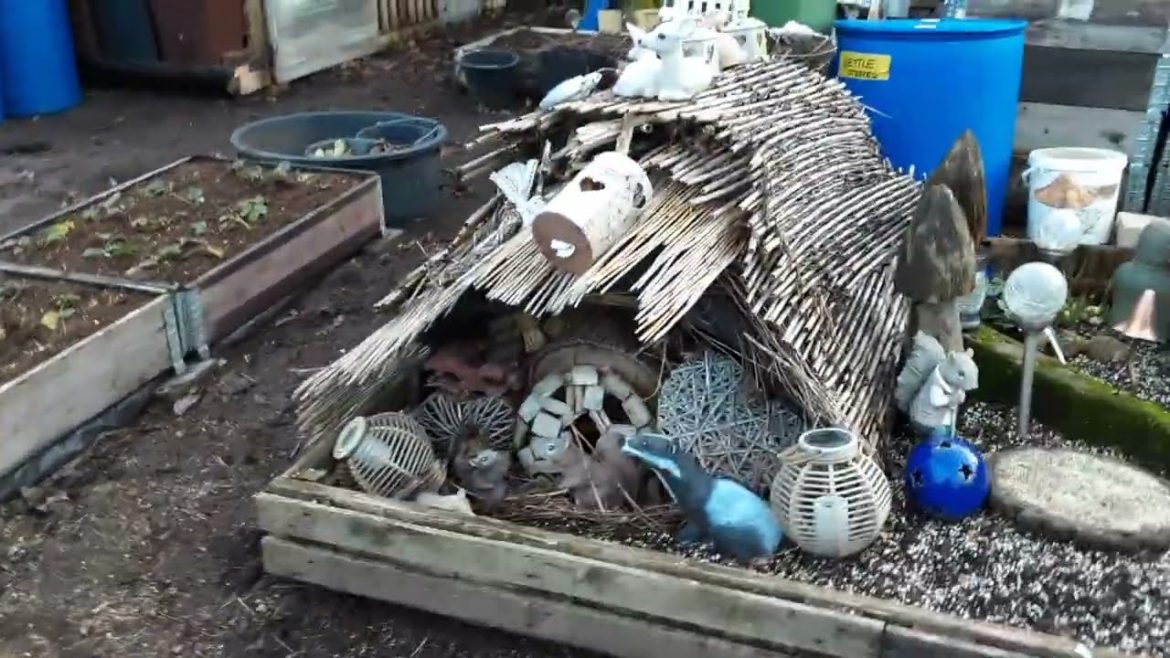 Allotment Gardening Jobs In December Update & Tour 🌻 Happy New Year To All My Viewers & Subscribers