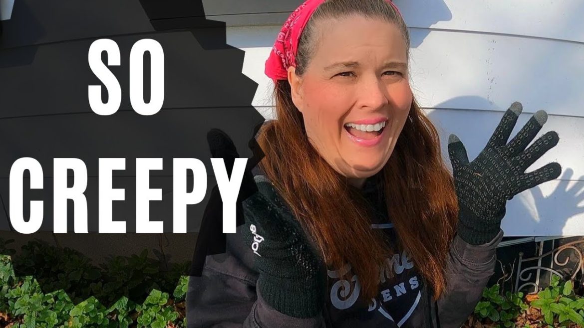 The Worst CREEPY Job EVER !(Mobile Home Life) The Worst CREEPY Job EVER !(Mobile Home Life)