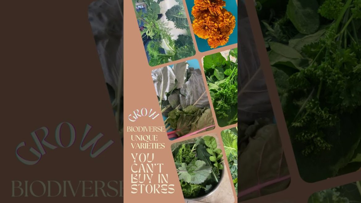 How to grow your own greens in a month with 95% less water using aeroponic vertical gardening How to grow your own greens in a month with 95% less water using aeroponic vertical gardening