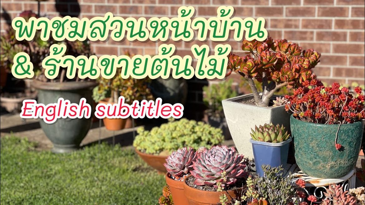 (Eng Sub) Weekend adventure & front yard garden tour ชมสวนและร้านขายต้นไม้ #12