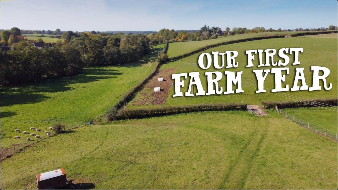 FIRST YEAR OF OWNING A SMALL FARM FIRST YEAR OF OWNING A SMALL FARM