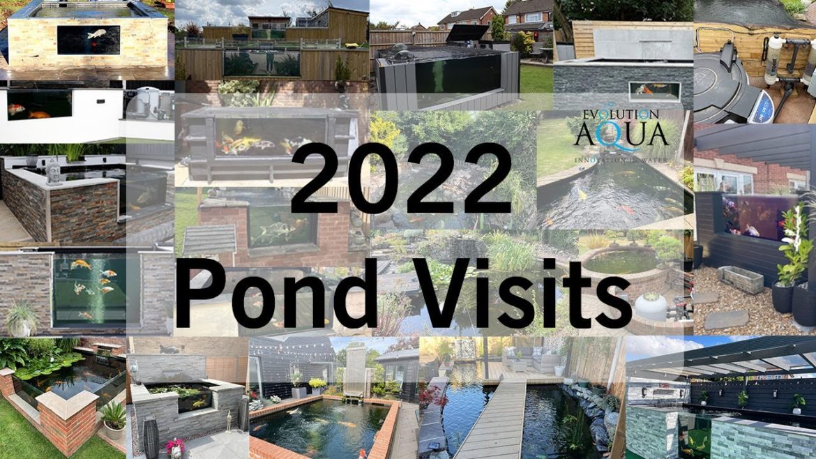 2022 Koi Pond Visits Recap