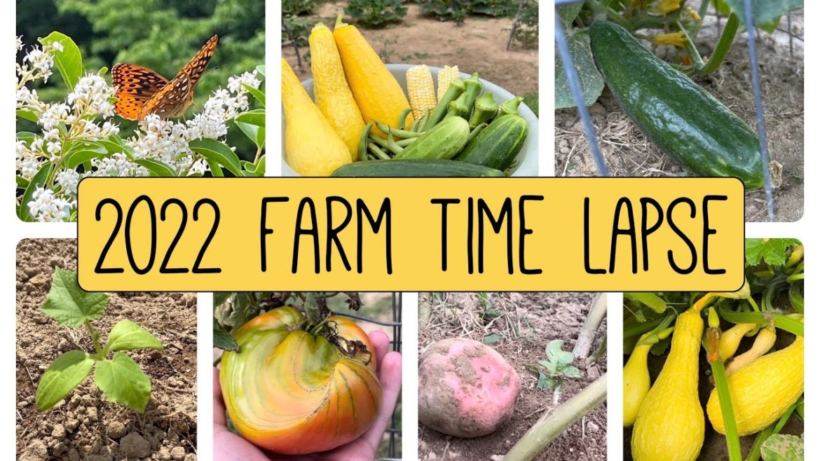 2022 Farm Time lapse: A Journey From Seed to Harvest 2022 Farm Time lapse: A Journey From Seed to Harvest