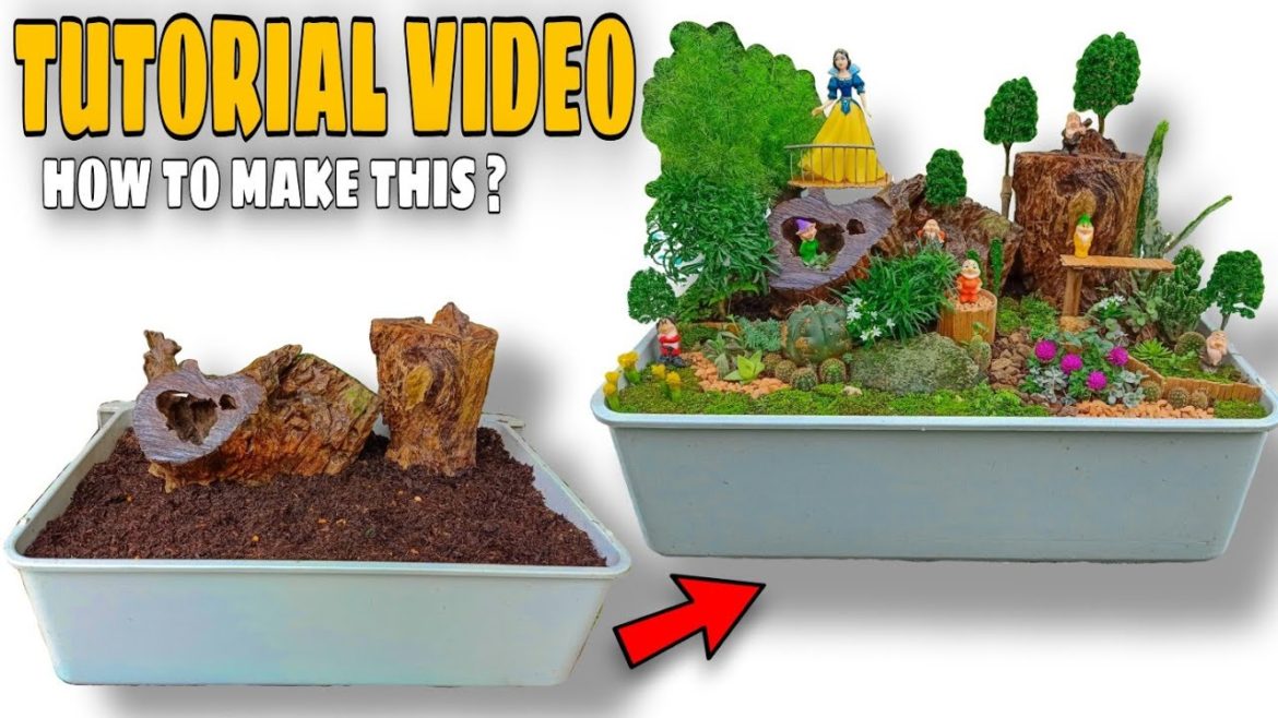 DISH GARDEN DESIGN IDEAS : Snow White & The Seven Dwarfs in a Cabinet Drawer ๐ฑ๐ฟ ( TUTORIAL VIDEO ) DISH GARDEN DESIGN IDEAS : Snow White & The Seven Dwarfs in a Cabinet Drawer ๐ฑ๐ฟ ( TUTORIAL VIDEO )