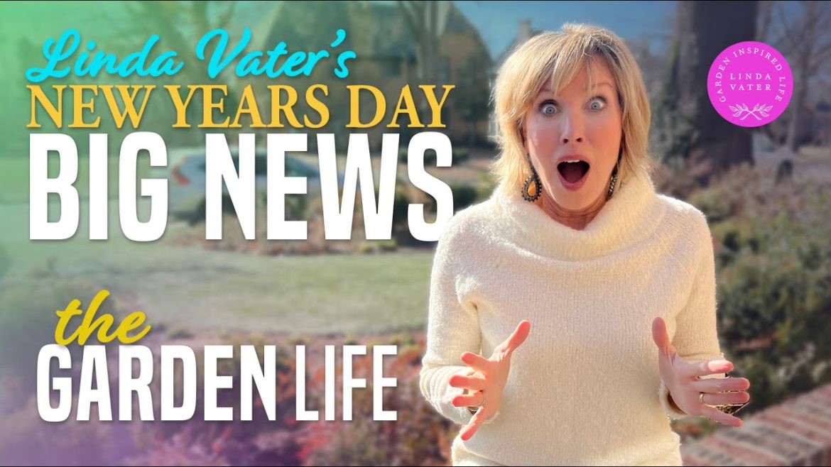 New Years Day Big Announcement with Linda Vater New Years Day Big Announcement with Linda Vater