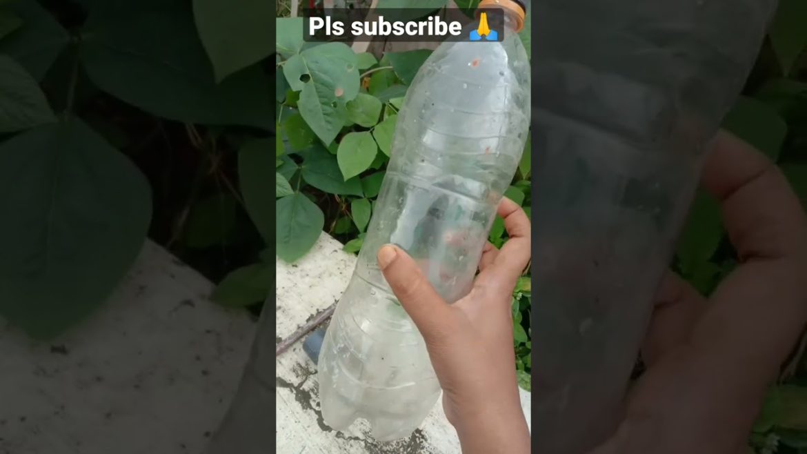 garden tips #shorts #shortsfeed #plasticreuse #hack #ytshorts #subscribe #short #gardeningtips garden tips #shorts #shortsfeed #plasticreuse #hack #ytshorts #subscribe #short #gardeningtips