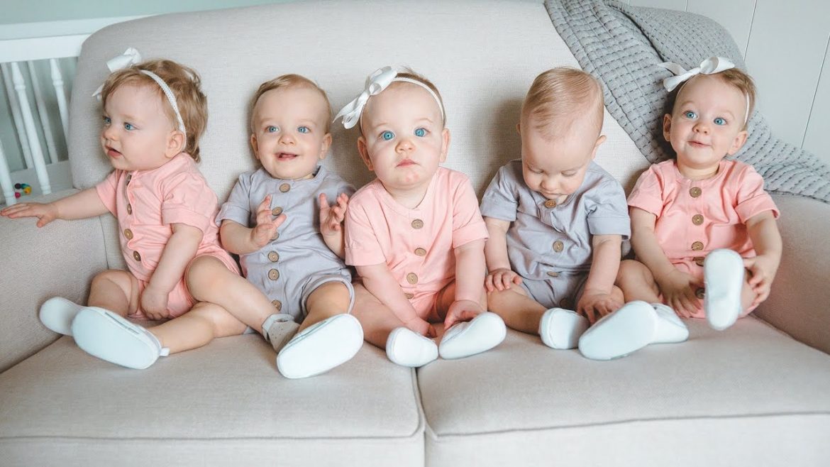 3 Tips for Container Gardening – Lincoln the Lion – Date with Dad 3 Tips for Container Gardening - Lincoln the Lion - Date with Dad