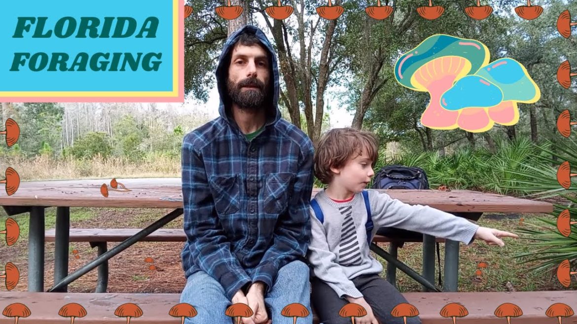 Naturevore: FLORIDA FORAGING Walk #14 (Dec. 18): Silver Blue Milky MUSHROOMS + Laccaria Galore! Naturevore: FLORIDA FORAGING Walk #14 (Dec. 18): Silver Blue Milky MUSHROOMS + Laccaria Galore!