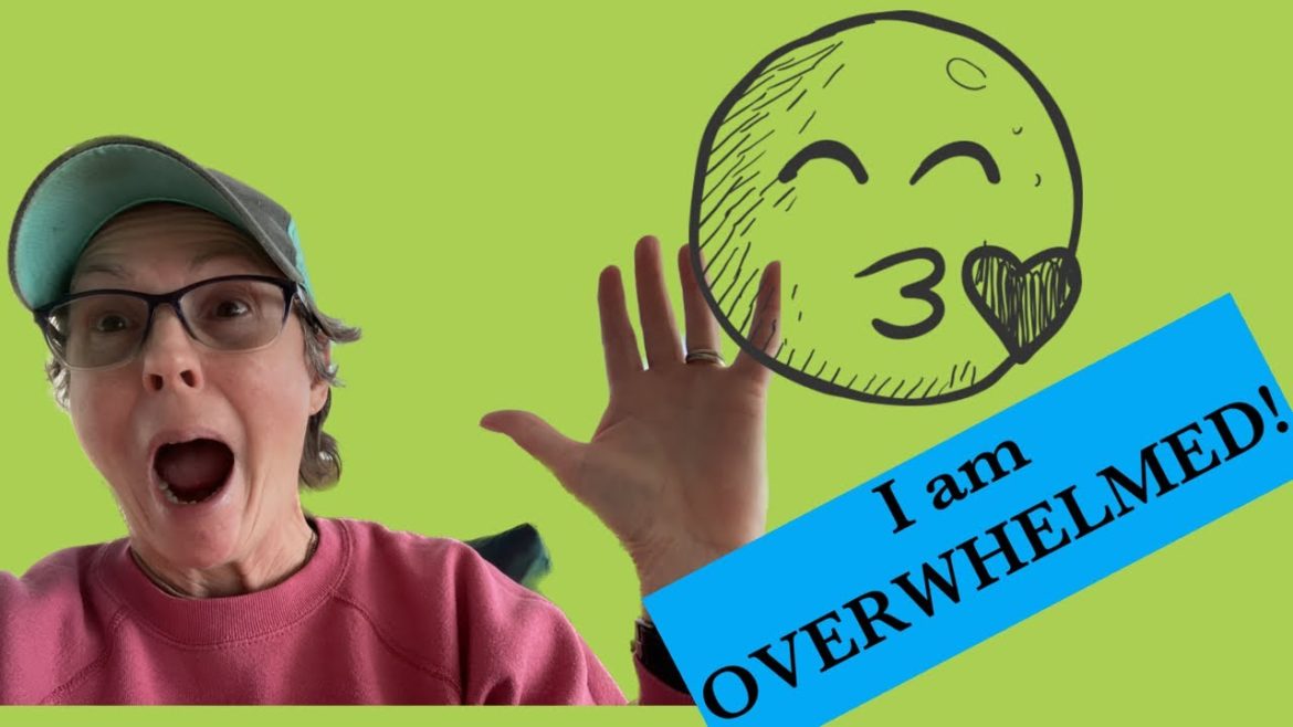 365 Challengers!!! 365 Challengers!!!