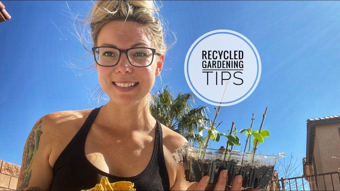 Recycled Gardening Tips