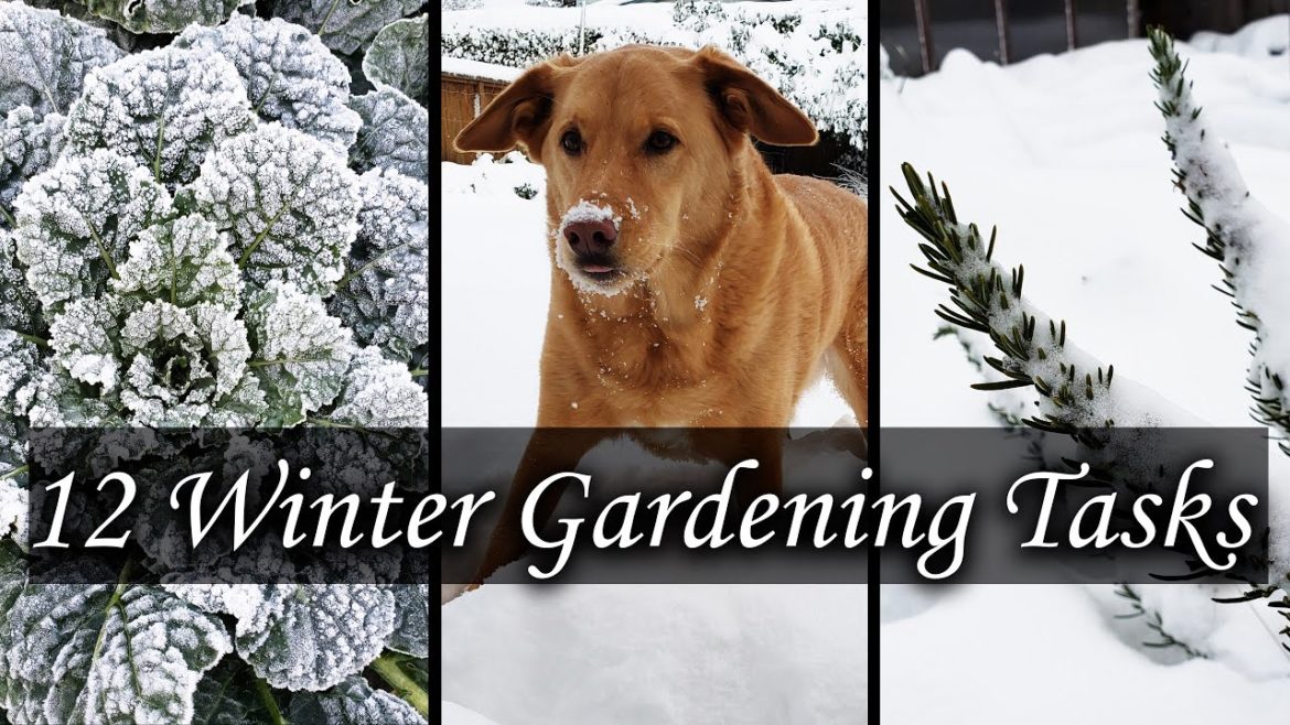 12 Winter Gardening Tasks For A Better Spring Garden 12 Winter Gardening Tasks For A Better Spring Garden