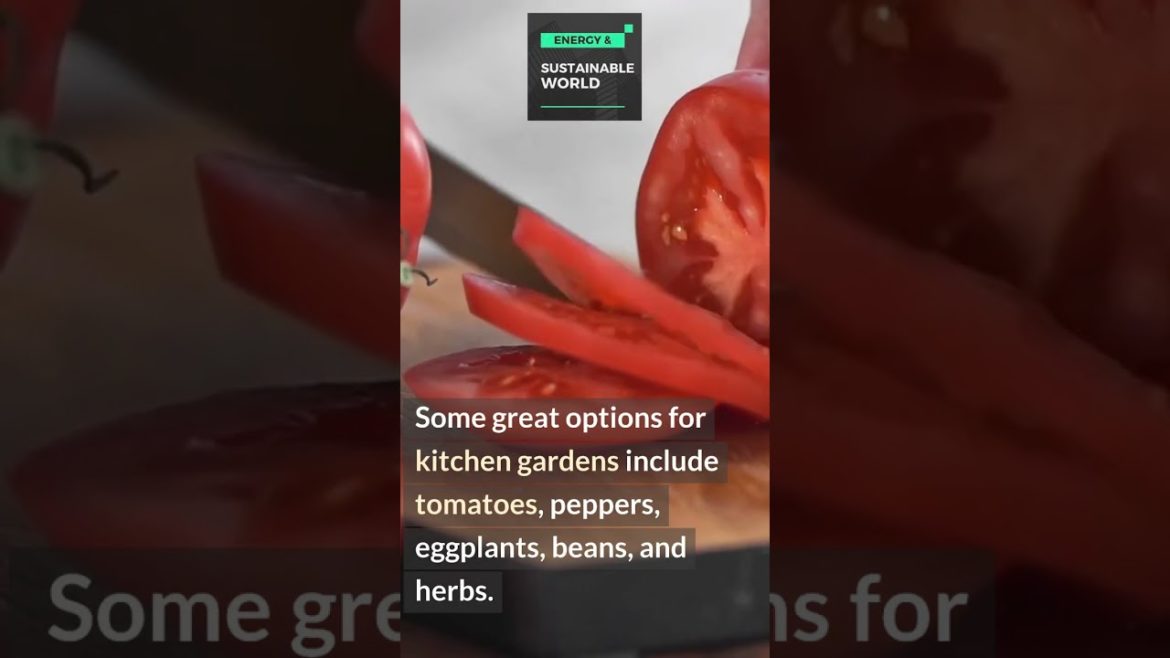 Get Ready to Plant a Home Garden in Your Kitchen