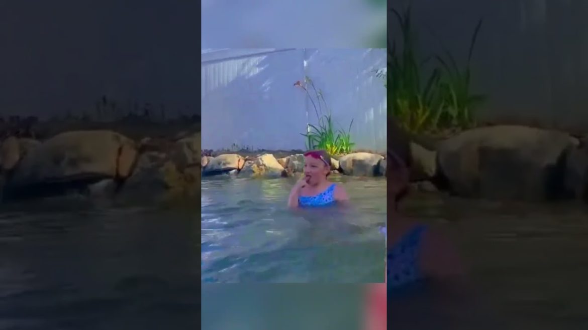 A Large Swimming Pond in our Backyard- landscaping design Ideas