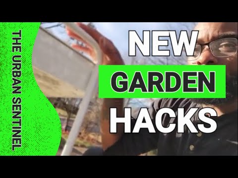 How to start gardening in 2023 – NEW tips and tricks! How to start gardening in 2023 - NEW tips and tricks!
