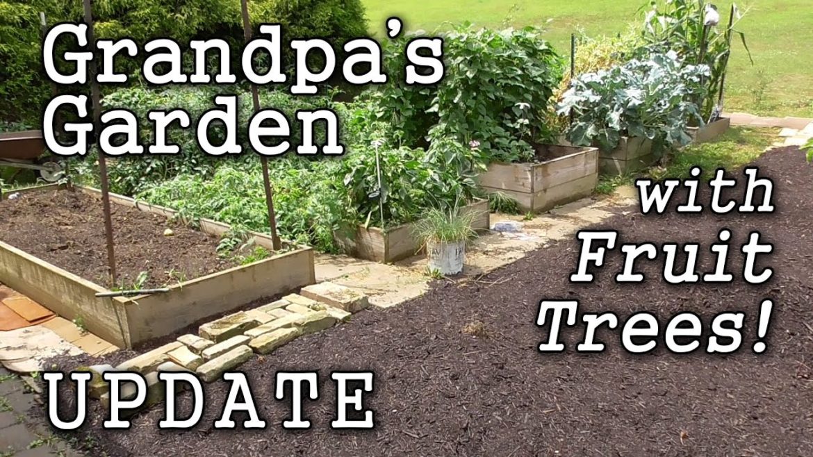 Raised Beds & Edible Landscape -Grandpa's Garden (Year 2) +Fruit Trees! Raised Beds & Edible Landscape -Grandpa's Garden (Year 2) +Fruit Trees!