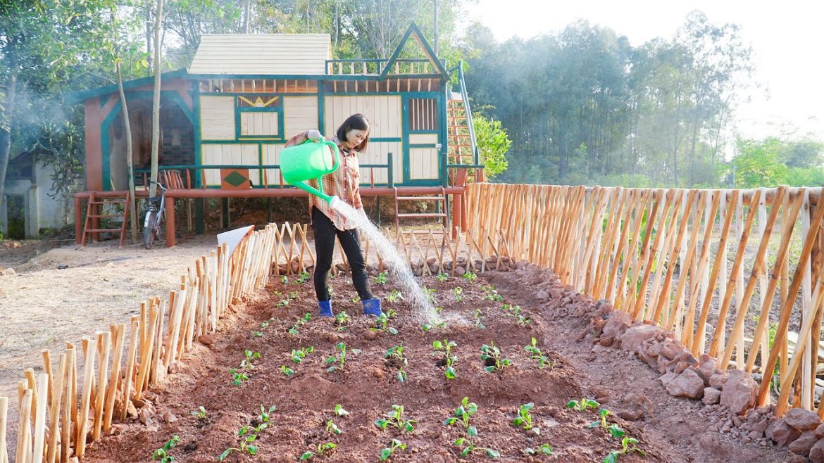Move wood to the shack Build a house Garden, Harvest Melons Go to the market Sell | Wild Forest Life Move wood to the shack Build a house Garden, Harvest Melons Go to the market Sell | Wild Forest Life
