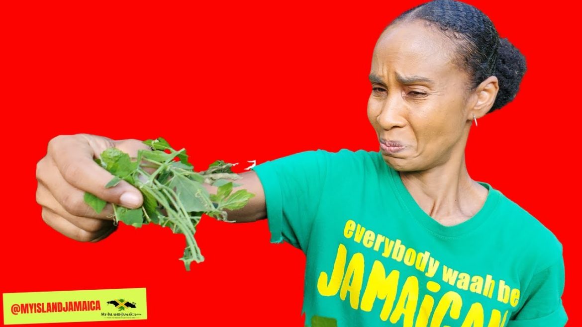 ⚠ CAUTION! THIS thing is Extremely  BITTER! 😝🌿 (but it makes you BETTER ☺) #bittermelon #cerasee