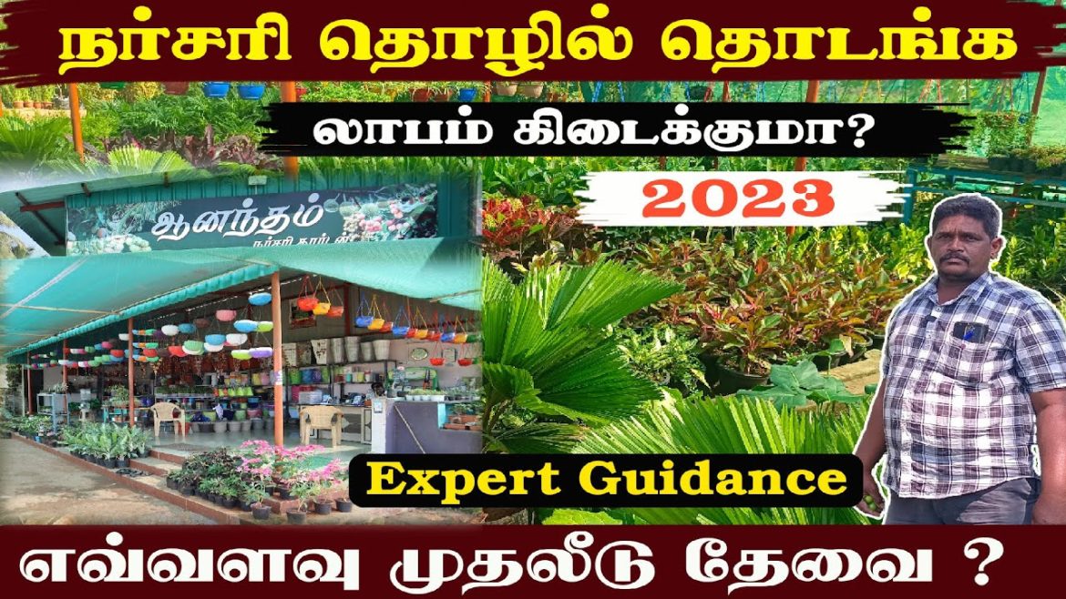 How to Start Nursery Garden | Business Tips in Tamil | Nursery Garden Business Profits | 2023 How to Start Nursery Garden | Business Tips in Tamil | Nursery Garden Business Profits | 2023