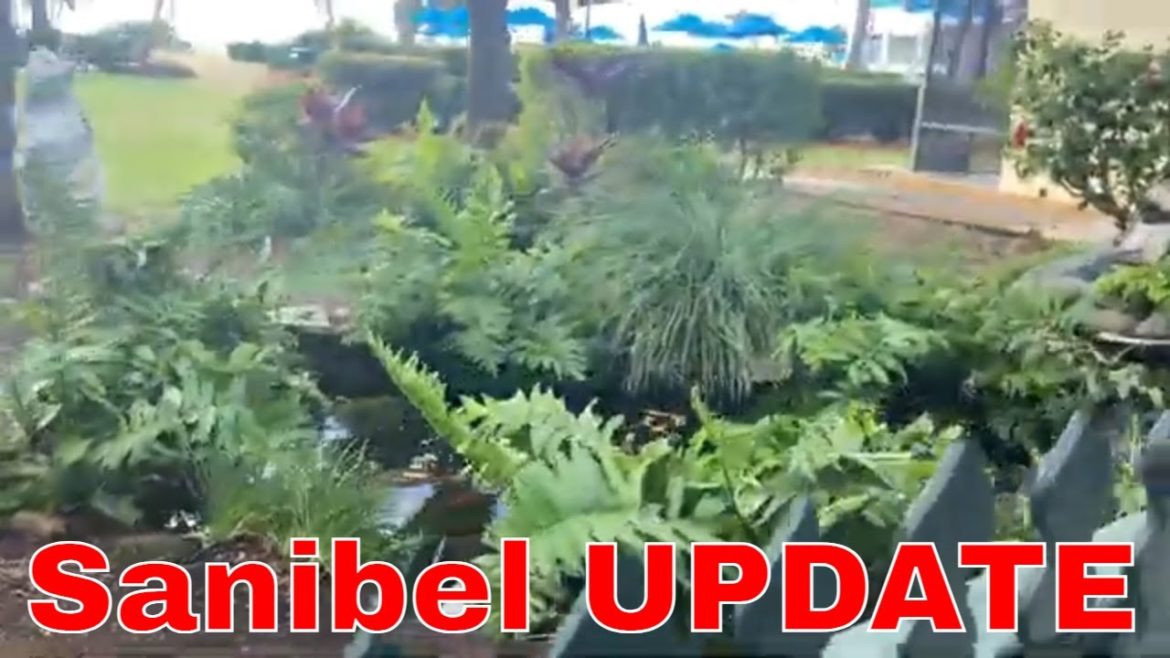 Sanibel  & SWFL- UPDATE 12/25/22 - Ding Darling Refuge, Rec Center Pool