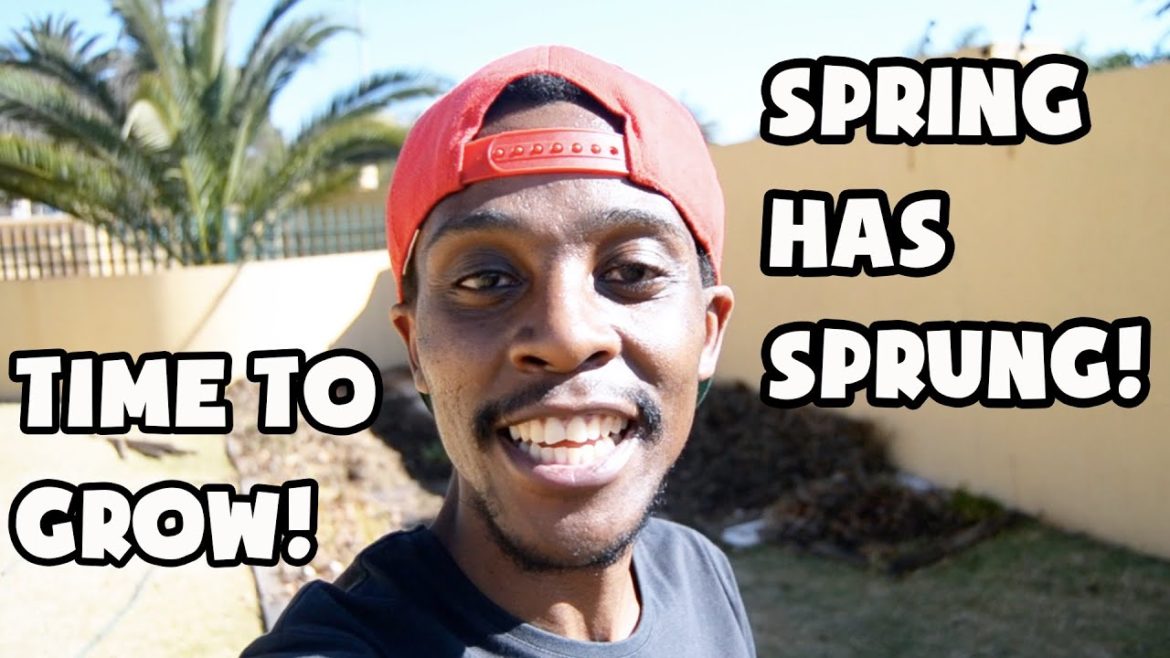 SIMPLE SPRING GARDEN TIPS AND TRICKS FOR GROWING VEGETABLES & PLANTS | GARDENING SOUTH AFRICA SIMPLE SPRING GARDEN TIPS AND TRICKS FOR GROWING VEGETABLES & PLANTS | GARDENING SOUTH AFRICA