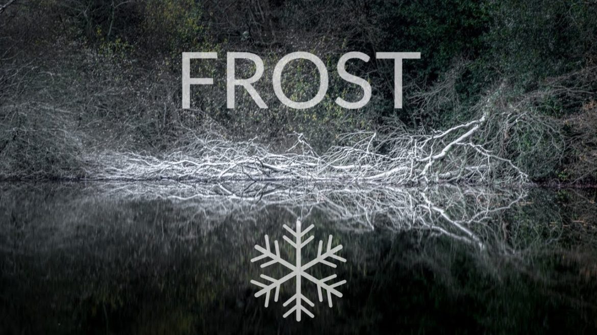 Exploring Shining Cliff Woods: Landscape Photography in Derbyshire Exploring Shining Cliff Woods: Landscape Photography in Derbyshire