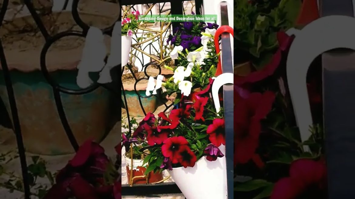 Gardening Design and Decoration Ideas for all. #viral #viralvideo #flowers #gardening #shortsviral. Gardening Design and Decoration Ideas for all. #viral #viralvideo #flowers #gardening #shortsviral.