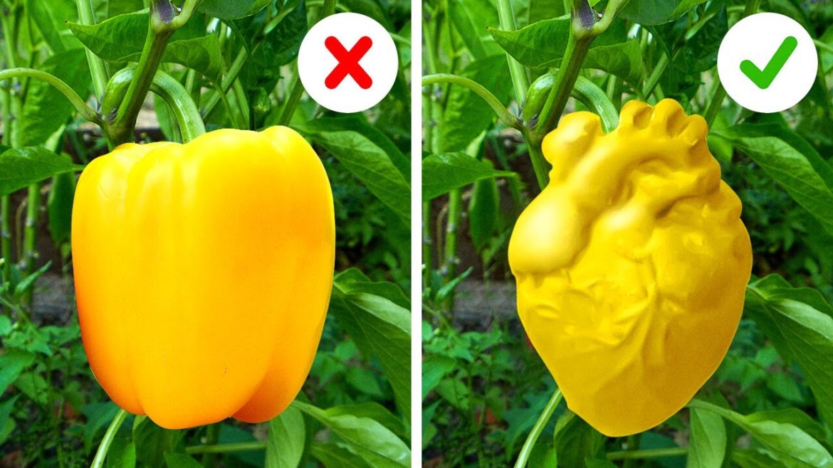 Valuable Gardening Tips You'll Be Grateful to Know Valuable Gardening Tips You'll Be Grateful to Know