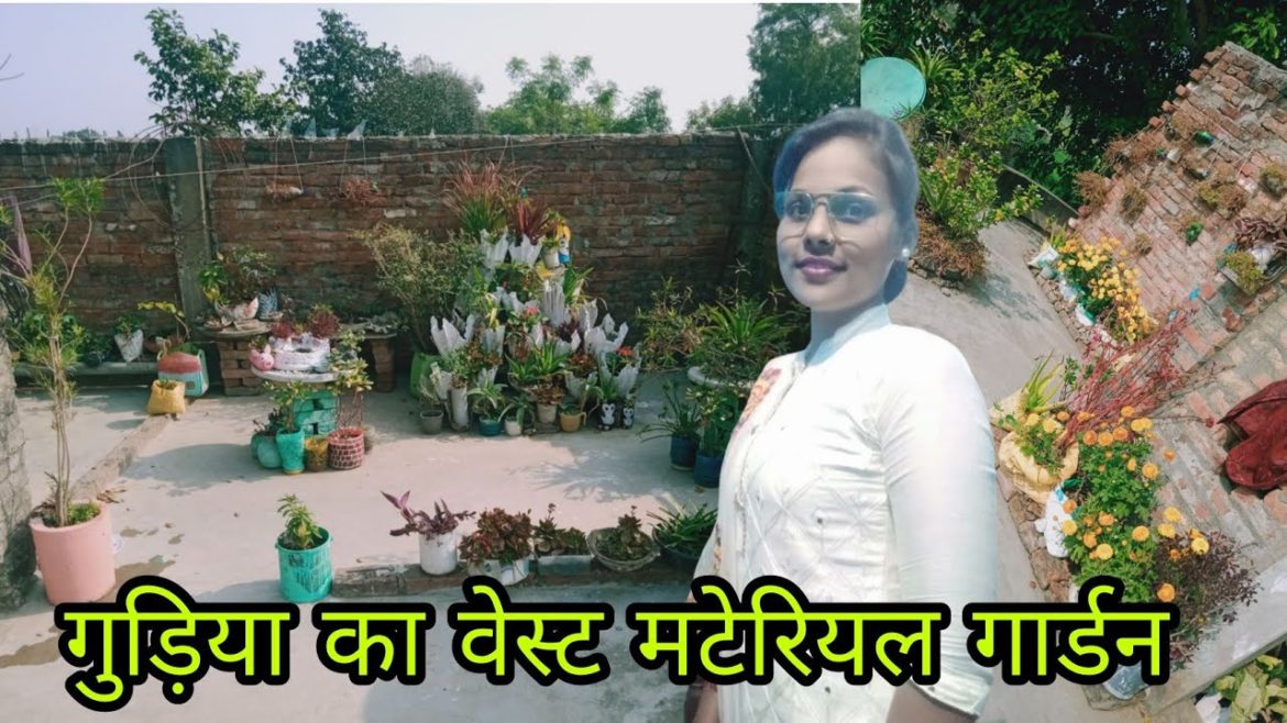 Waste material gardening by Gudiya Waste material gardening by Gudiya