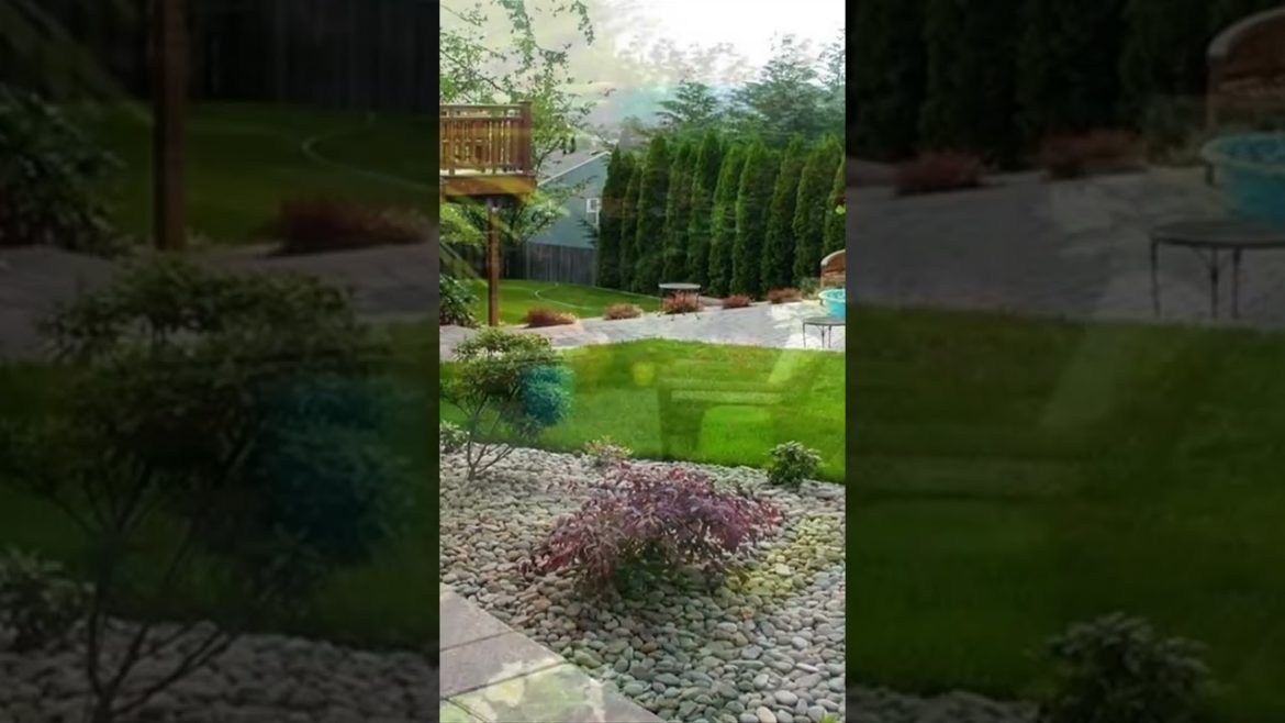 #shorts #shortvideo #video  #howto #garden #backyard #youtube #trending #tiktok #viral #gardentastic