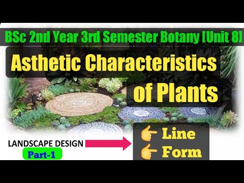 Landscape Designing/Form/Asthetic Characteristics of Plants Bsc 2nd Year 3rd Semester Botany Unit 8 Landscape Designing/Form/Asthetic Characteristics of Plants Bsc 2nd Year 3rd Semester Botany Unit 8