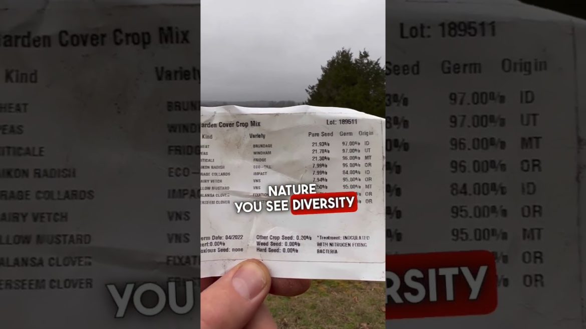 Cover Crops: What’s the Best Garden Cover Crop?