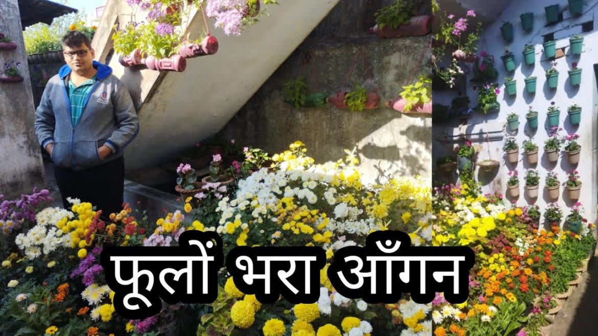 Beautiful courtyard with winter flowers Beautiful courtyard with winter flowers