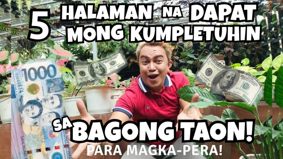 5 PLANTS THAT YOU SHOULD COMPLETE TO ATTRACT MONEY IN NEW YEAR | LUCKY 2023 5 PLANTS THAT YOU SHOULD COMPLETE TO ATTRACT MONEY IN NEW YEAR | LUCKY 2023