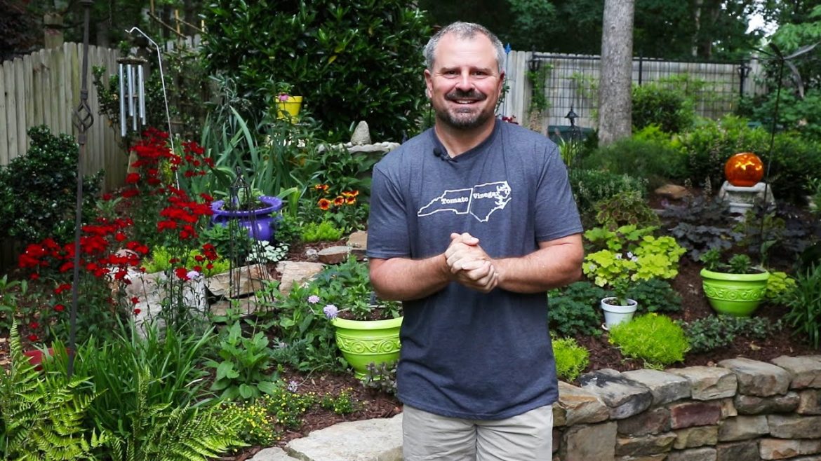 🏡Amazing Garden Tour🌺 – Small Lot Landscaping 🏡Amazing Garden Tour🌺 - Small Lot Landscaping