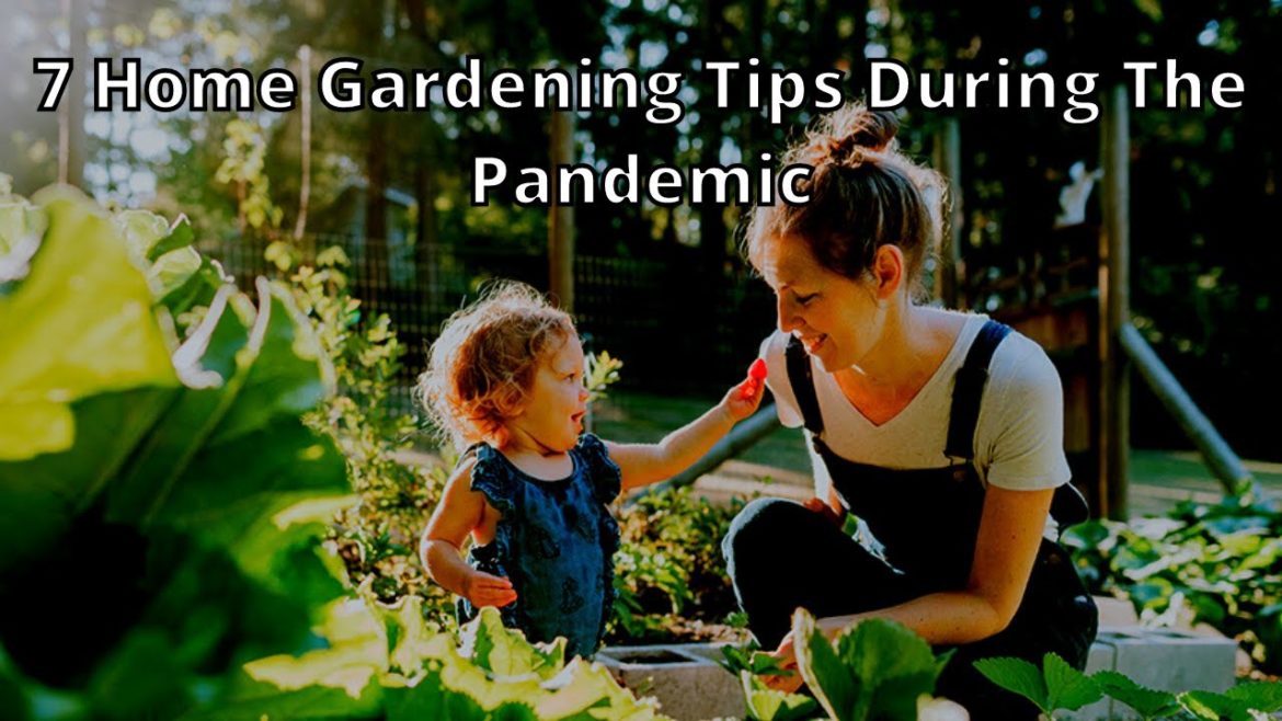 7 Home Gardening Tips During the Pandemic || home gardening tips for beginners – Real Homy 7 Home Gardening Tips During the Pandemic || home gardening tips for beginners - Real Homy