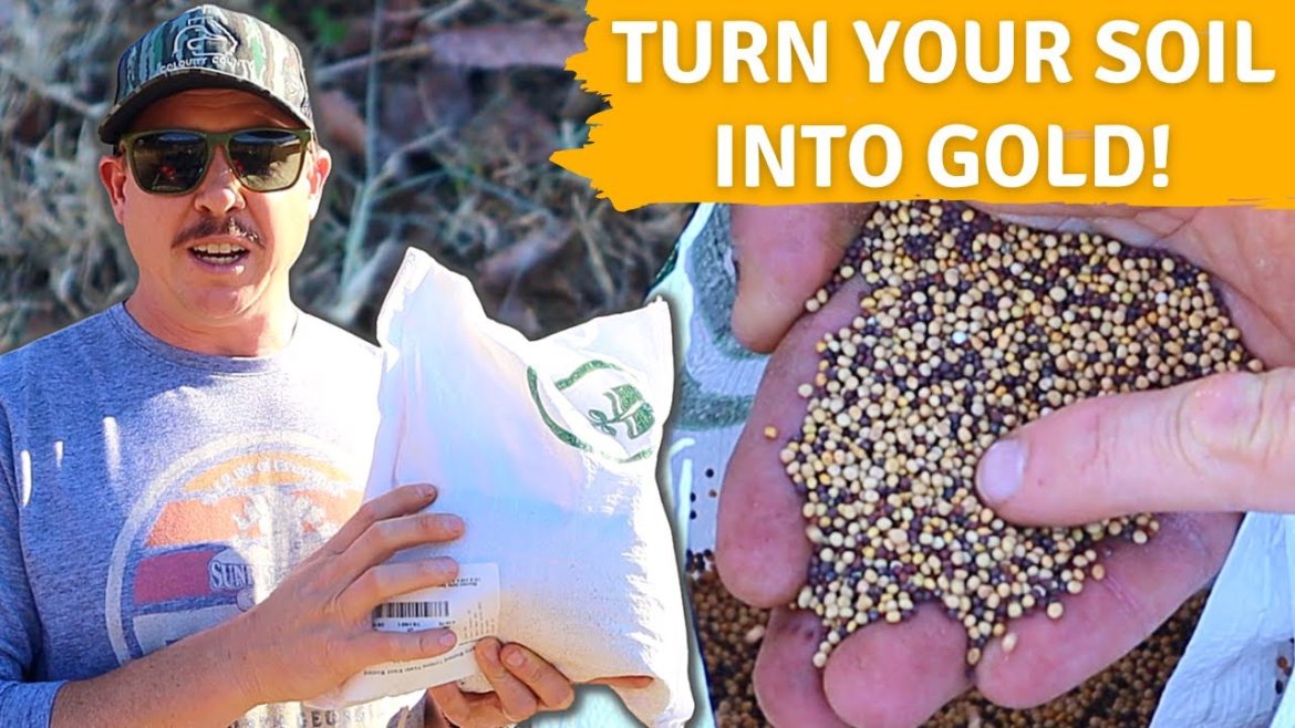 Plant These Seeds to Make Your Garden AMAZING! Plant These Seeds to Make Your Garden AMAZING!