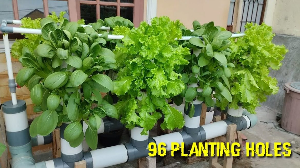 Harvest fresh vegetables in hydroponic garden tower || hydroponic farming at home