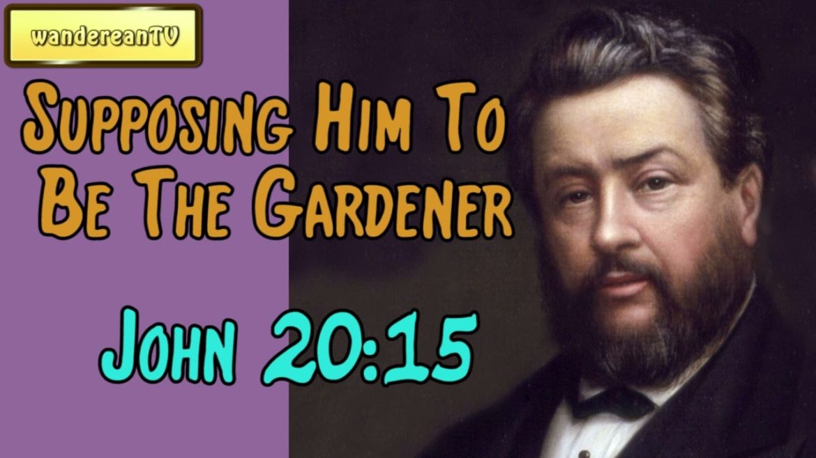 John 20:15 – Supposing Him To Be The Gardener || Charles Spurgeon’s Sermon John 20:15 - Supposing Him To Be The Gardener || Charles Spurgeon’s Sermon