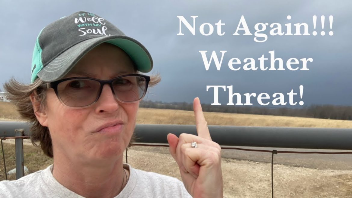 What are we going to do?  Update on damaged garden. Severe weather again!