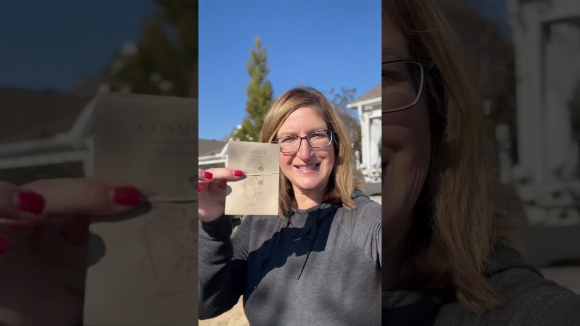 9 Tasks/Tips/Chores/Ideas for or your Garden/Landscape in December and January!!!!!