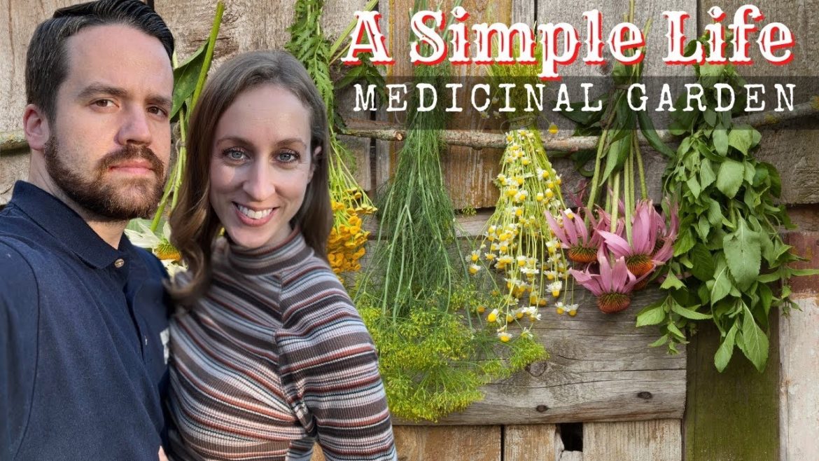 Medicinal Garden Plan | A Simple Life