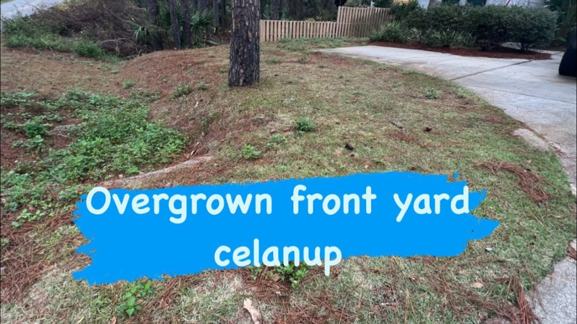 Overgrown front-yard cleanup: How to clean artificial turf