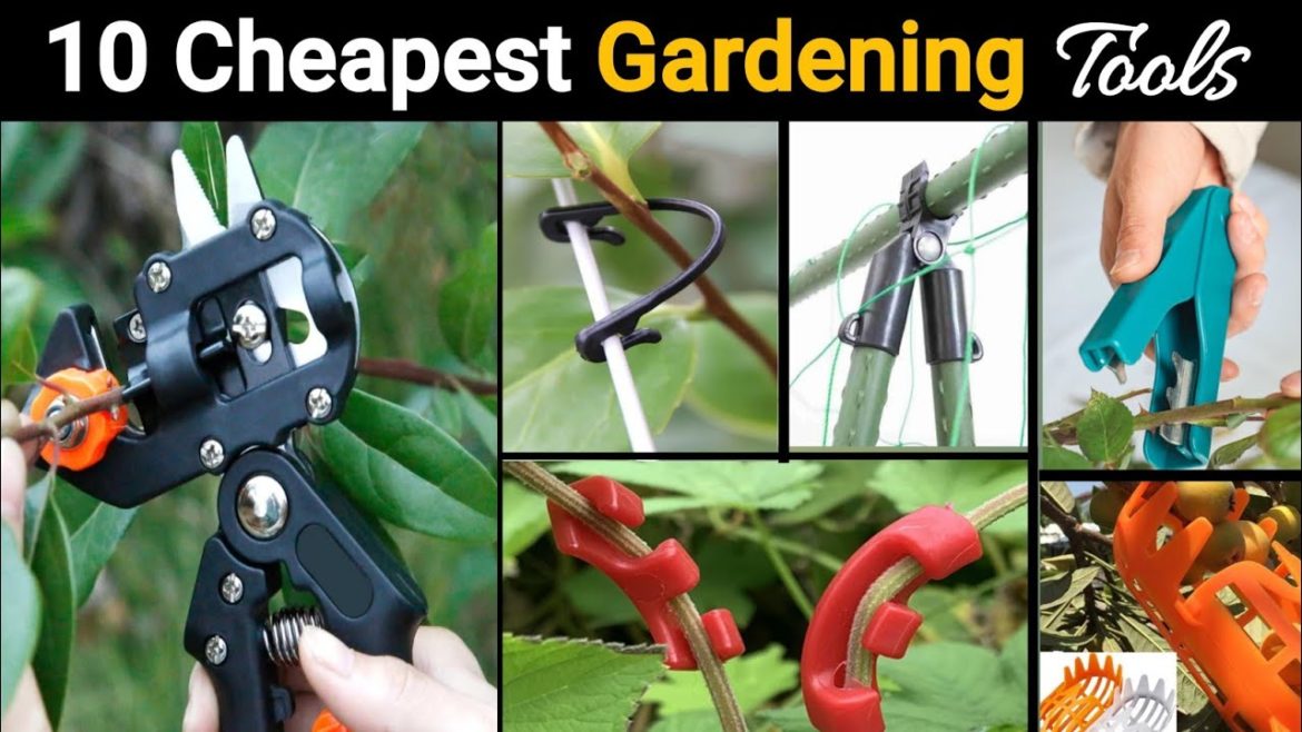 10 Cheapest Gardening Tools To Make Your Garden Beautiful || Gajab Gadget Gyan