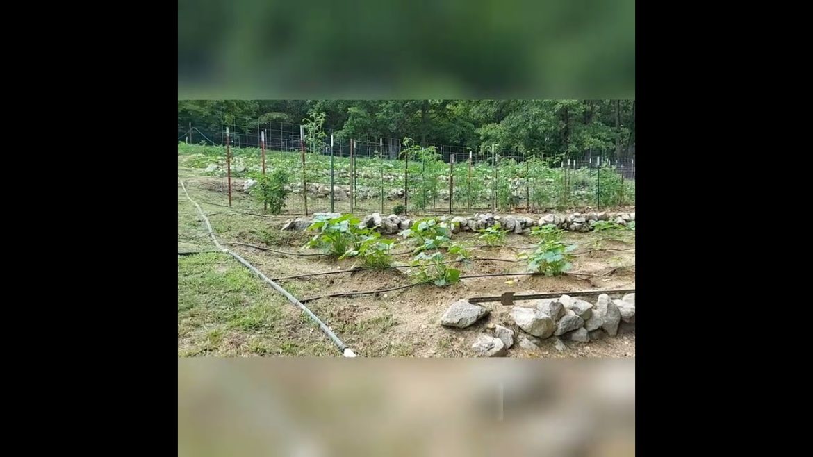 Gardening on a Slope Ground Is Possible Gardening on a Slope Ground Is Possible