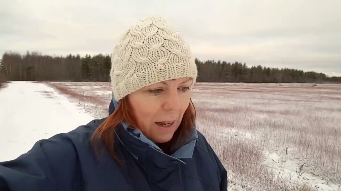 New Year 2023 Plans, Walking My Dogs!