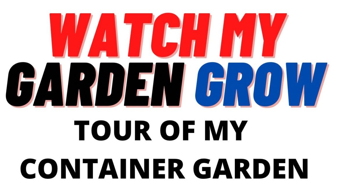 JULY SUMMER GARDEN TOUR / Watch My Container Garden Grow